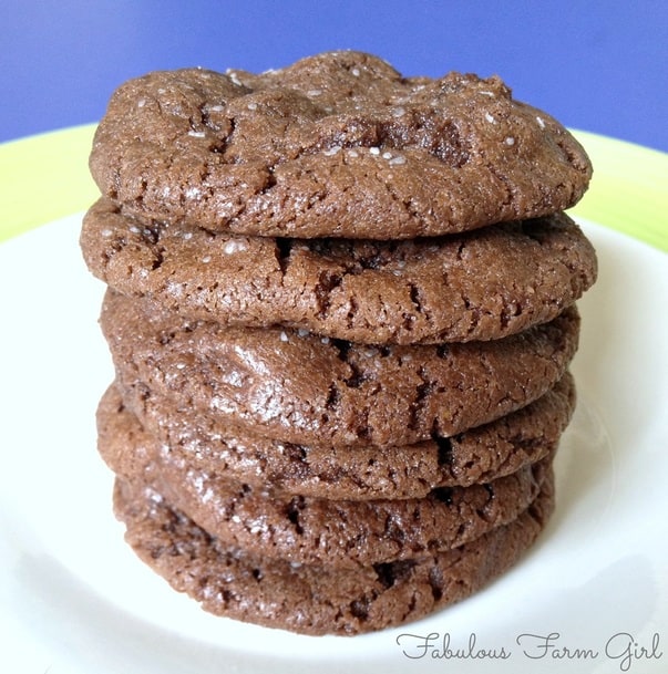 Double Chocolate Salted Cookies by FabulousFarmGIrl. The cookie all other cookies will be compared to.