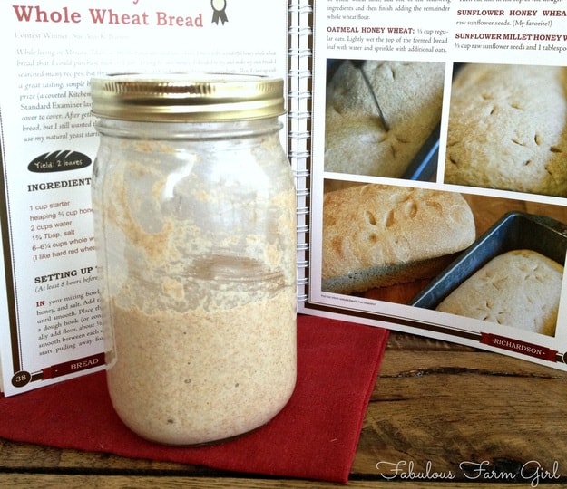 Beyond Basics With Natural Yeast book review by Fabulous Farm Girl.