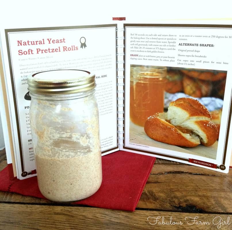 Grow Your Own Natural Yeast Starter: The First Step to Perfect Sourdough  Bread - Spade Spatula