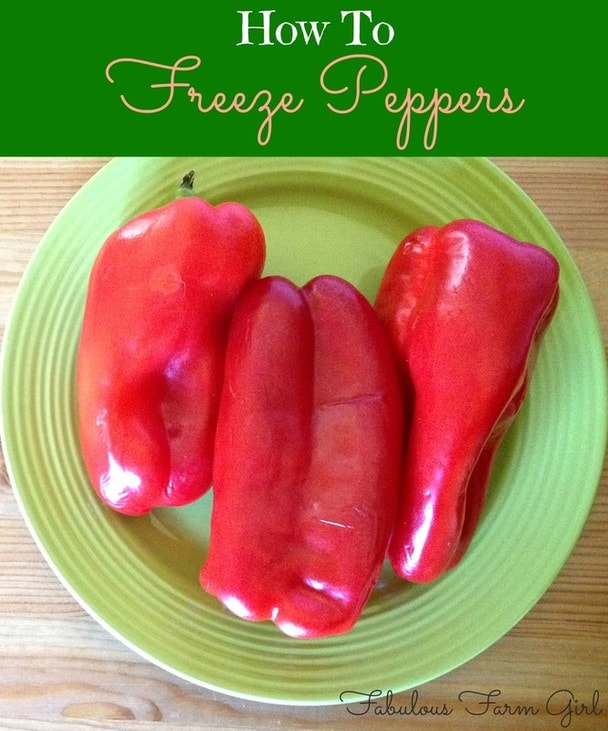 How to Freeze Peppers by FabulousFarmGirl. A quick and easy way to preserve peppers. They even stay fairly crisp with this method.