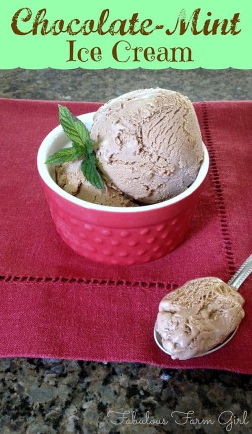 Chocolate Mint Ice Cream by FabulousFarmGirl. This homemade, all-natural ice cream is summer in a bowl. Heavenly!