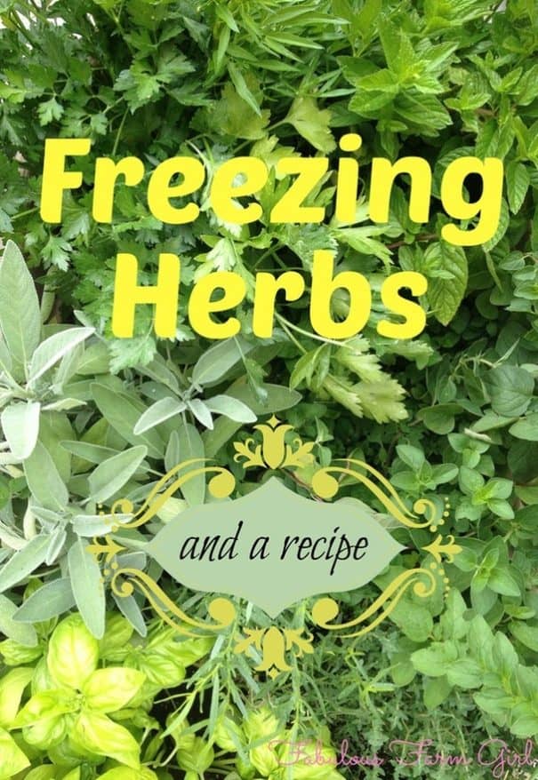 Freezing Herbs by FabulousFarmGirl. Plus a fabulous recipe for Citrus marinade. YUM!!
