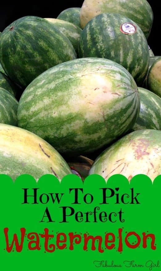 How To Pick A Perfect Watermelon by FalulousFarmGirl. Nothing beats a delicious watermelon and this method is fool-proof.