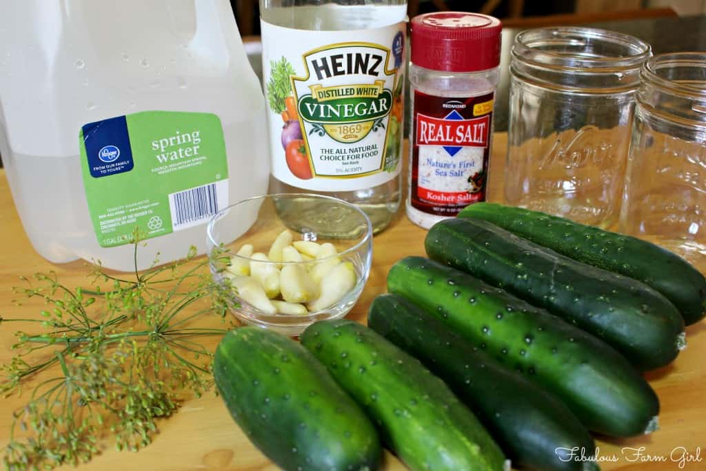 Fresh Refrigerator Dill Pickles by FabulousFarmGirl. These are the most delicious, crunchy pickles you'll ever taste. Takes just a few minutes to make and they're ready to eat in 2 days. Yum!!